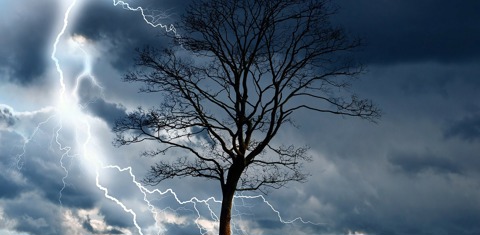 Een boom in donkere lucht met bliksem