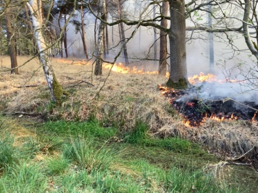 Zeer grote bosbrand in Drunen