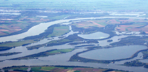 Luchtfoto Biesbosch