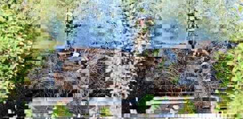 Foto: Tom van der Put/SQ Vision via Omroep Brabant