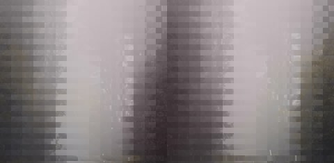 Autoweg met veel mist 
