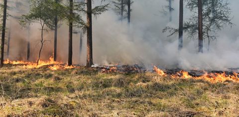Natuurbrand