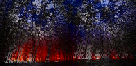 Foto: Persbureau Heitink, de nacht valt. Vlammenzee door de donkere bomen heen te zien. 